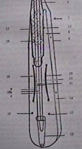 kemençe, Pontic lyra parts