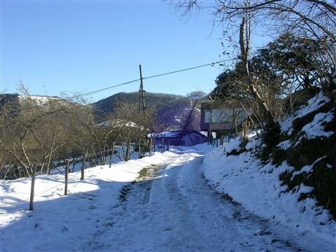 Arsin ilesi fotoraflar