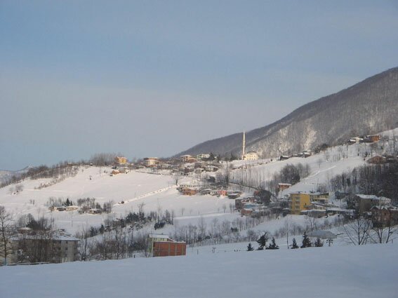 Trabzon Dzky tarm ve hayvanclk