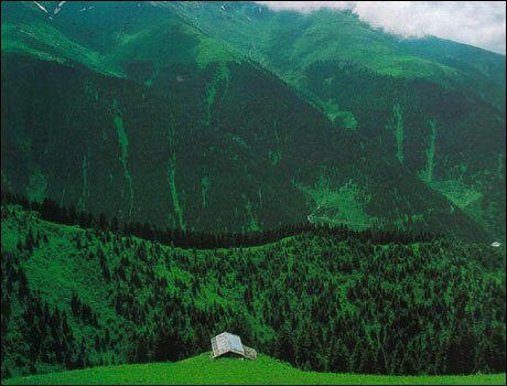 Parhars: The Black Sea Yaylas (Plateaux)