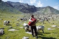 Time For to Discover the Black Sea Highlands