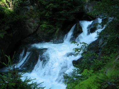 Palovit yaylası Palovit yaylası Palovit Vadisi'ne Yol Tehdidi